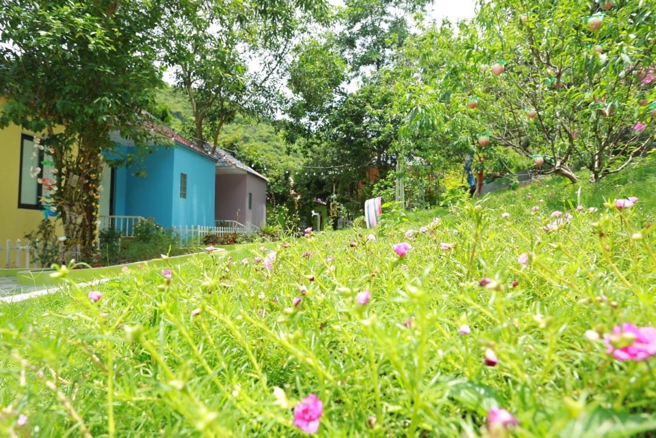 Windy Hill Catba Homestay Hai Phong Exterior foto